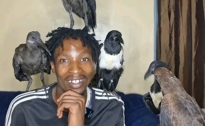 Birdman: Not Everyone Understands My World, But the Birds Do