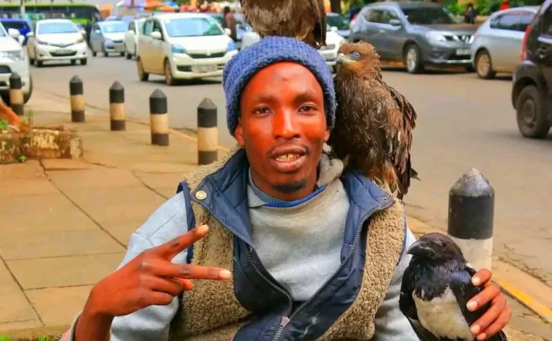 Nairobi Birdman Eyes Tourism Role After Releasing Wild Birds