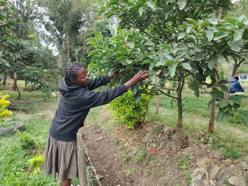 Mathare GBV survivors turn dumpsite into memorial park