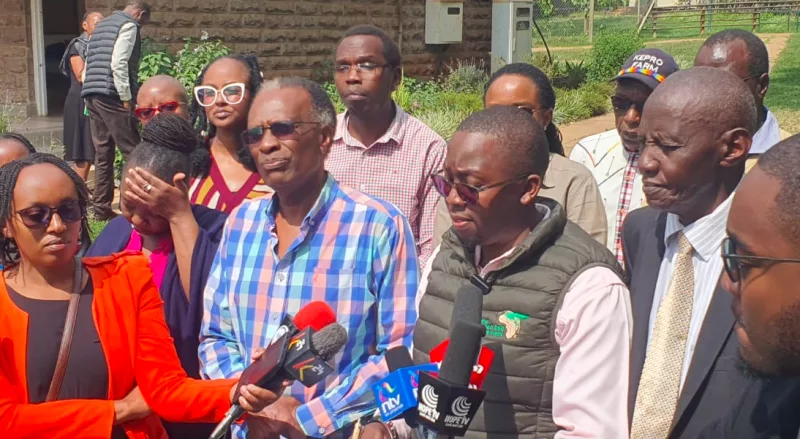 Activists raise alarm over forest destruction