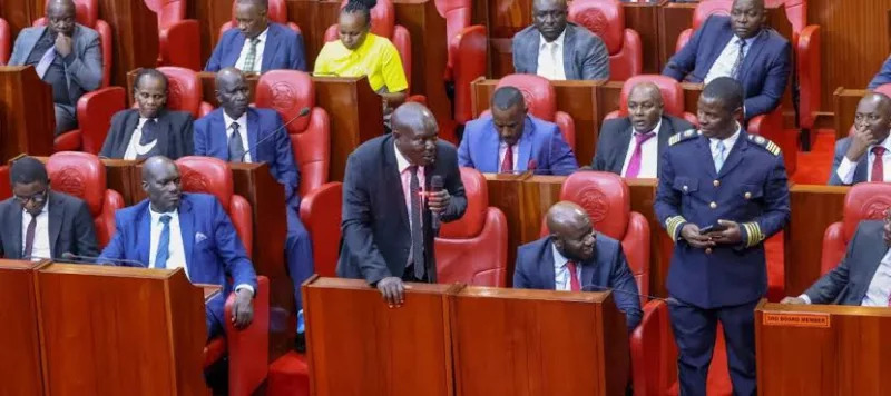 Petition seeks one-term limit for nominated MCAs