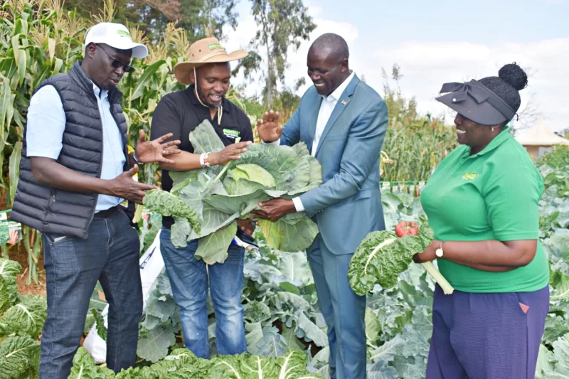 Kitui banks on climate-smart farming to eliminate hunger