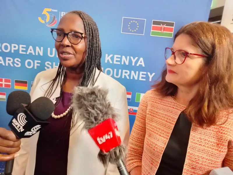 Kenya, EU target to double trade in 5 years with new strategy