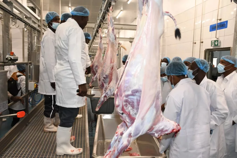 Hope rises for herders as Ruto set to open Sh1bn Isiolo abattoir