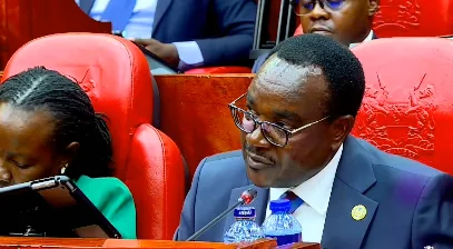 Ogamba: Treasury funding gaps behind capitation delays