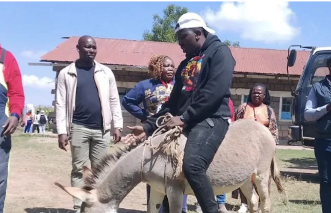 ‘My donkey is my car’: Candidate’s unusual Ol Kalou voting trip