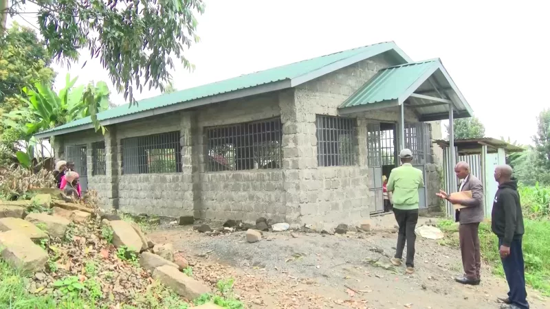 Kirinyaga farmers reprieve as tea-buying centres built