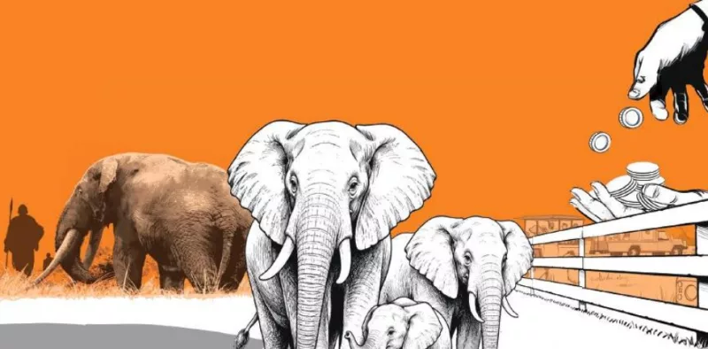 MUGA: Clashing incentives in the conserving of wildlife