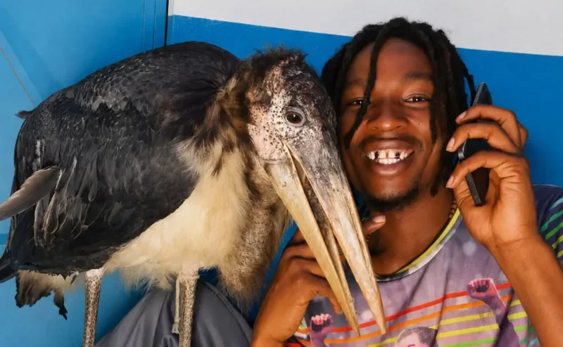 Nairobi Birdman Identifies the 3 Birds He Has Not Released