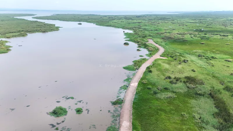How a mega flood project is rewriting Kano's story