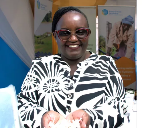 Solar food dryer helps farmers cut losses