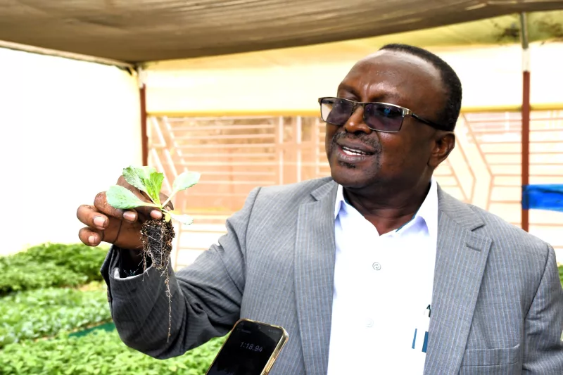 Pest control board strengthens crackdown on illegal pesticides