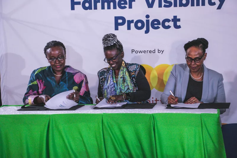 Milk deliveries could soon help farmers qualify for loans