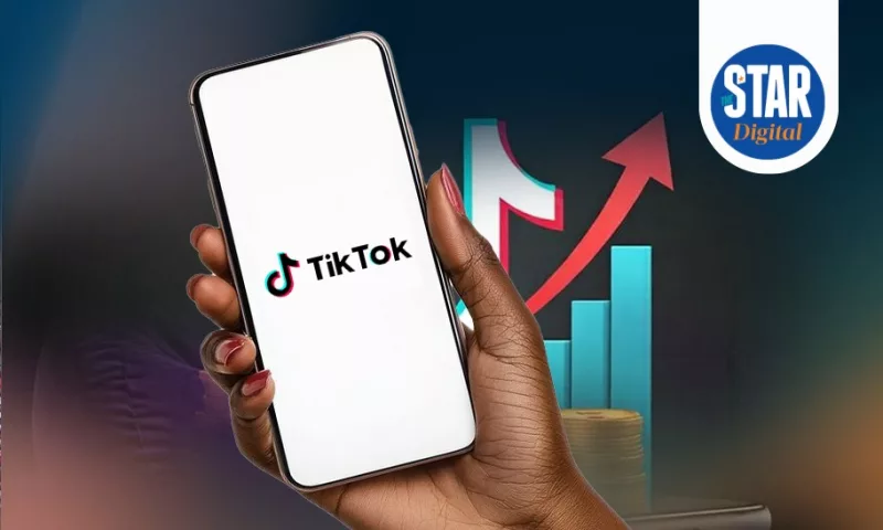 TikTok's global crackdown by the numbers