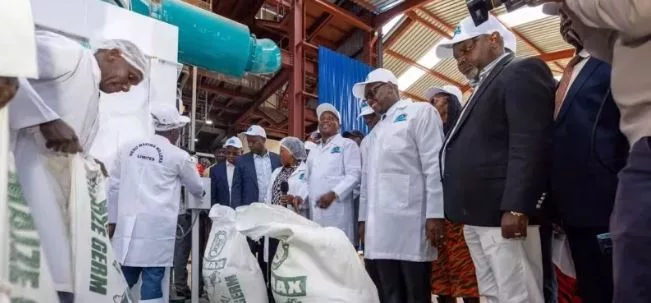 How government measures are transforming dairy farming in Meru