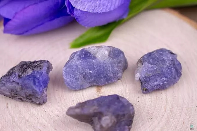 Cops arrest 2, recover Tanzanite in Mombasa murder case