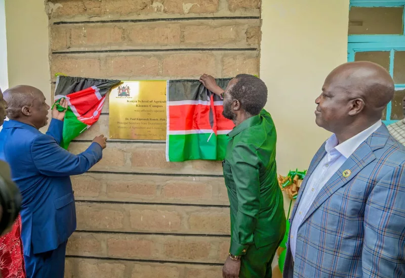 Kisumu bets on training to revitalise agriculture