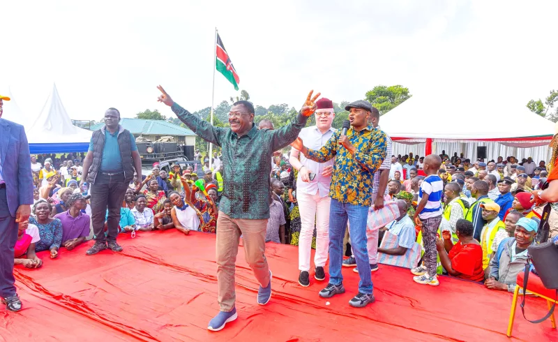 Western’s succession puzzle as leaders split over poll strategy