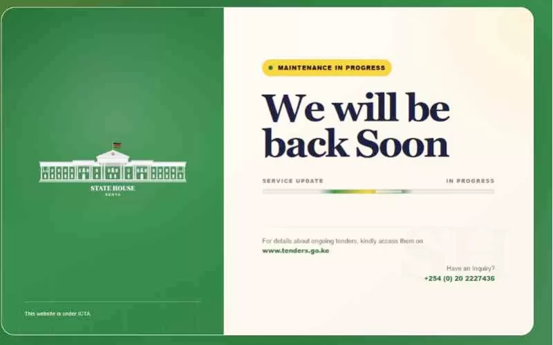 AKINYI: Presidential website attack demands stricter security