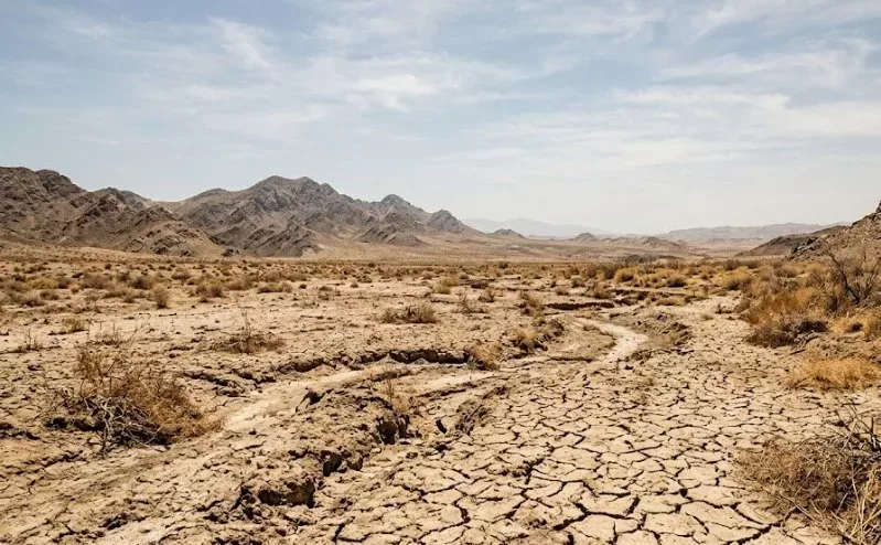 Met forecasts dry weather across most parts