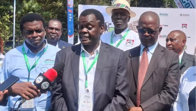 Government to set aside Sh465 billion to tackle animal feed crisis