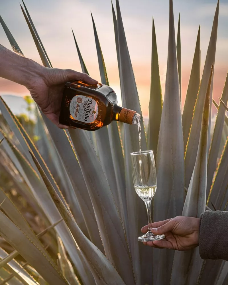 How to Enjoy Tequila Like A Pro at Nairobi’s First Agave Affair