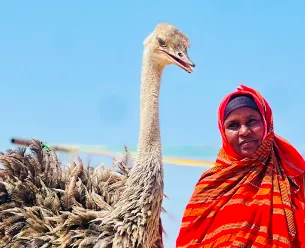 Asha the ostrich: Caught between a family’s love and wildlife laws
