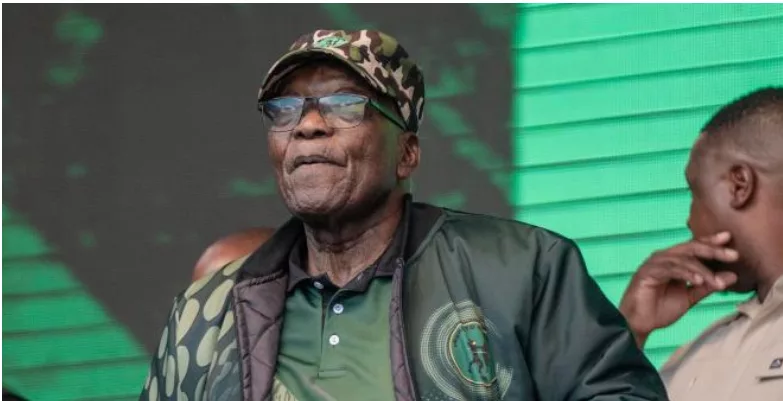 Zuma showing SA 'middle finger' by meeting Gupta brother - minister