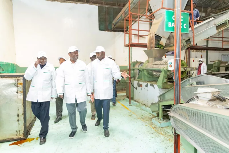 Mudavadi to tea farmers: Remain focused as State tackles challenges