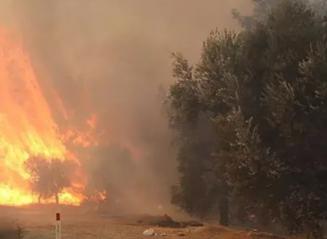 Two firefighters die in Crete as wildfires threaten parts of southern Europe