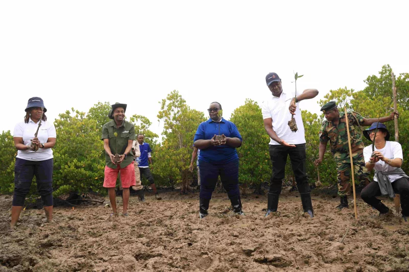 Kwale residents seek ecotourism boost after mangrove restoration