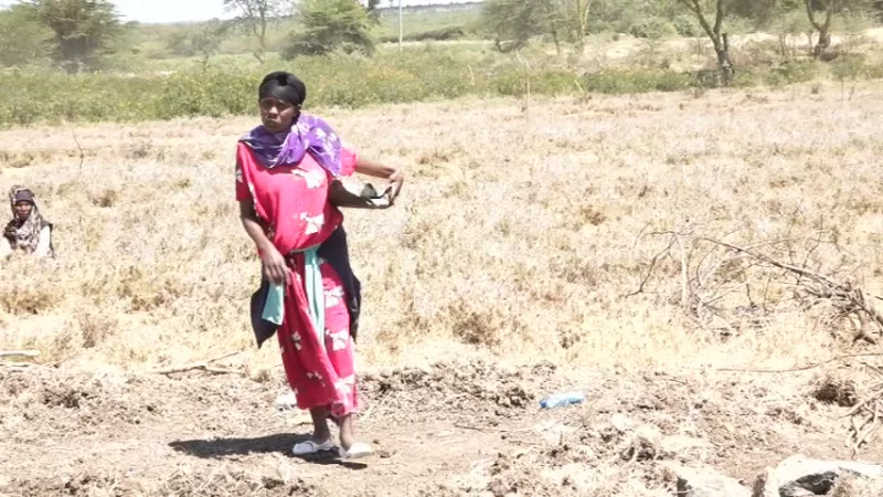 Laikipia squatters decry evictions from disputed land