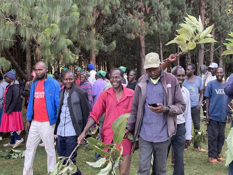 Residents protest Kaptagat Forest fence vandalism