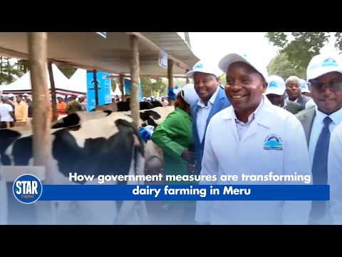 How government measures are transforming dairy farming in Meru