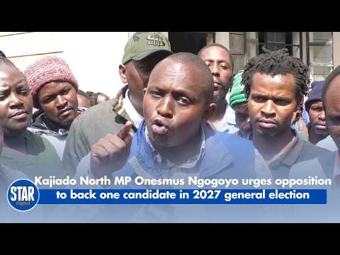 Kajiado North MP Onesmus Ngogoyo urges opposition to back one candidate in 2027 general election