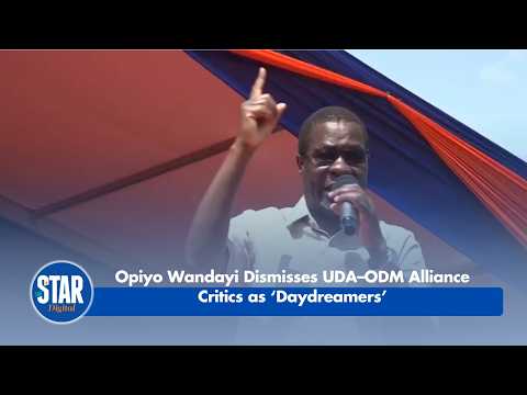 Opiyo Wandayi Dismisses UDA–ODM Alliance Critics as ‘Daydreamers’