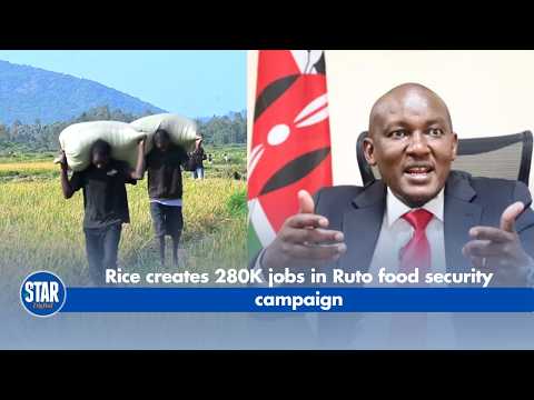 Rice creates 280K jobs in Ruto food security campaign