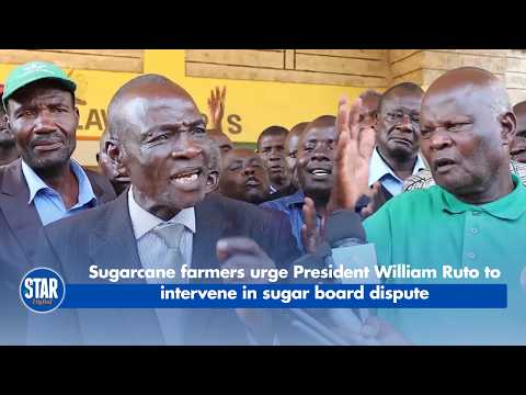 Sugarcane farmers urge President William Ruto to intervene in sugar board dispute