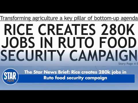 The Star News Brief: Rice creates 280k jobs in Ruto food security campaign