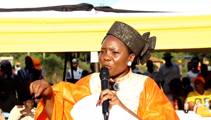 ODM condemns violence at Linda Mwananchi rally