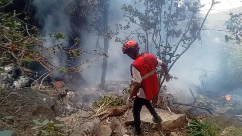 Ecuador intelligence chief, 5 Americans killed in Kenya helicopter crash