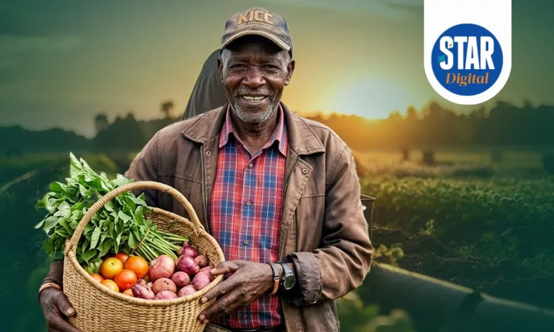 Who do farmers borrow from to finance farming?