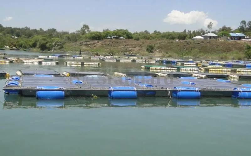 Fish farmers demand clarity over disputed aquaculture levies