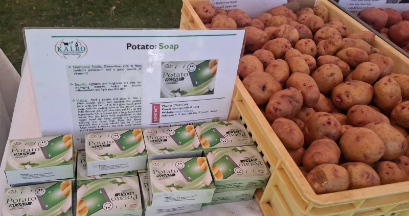 How potato soap is turning waste into cash