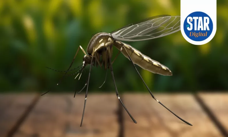 The World's Deadliest Animals