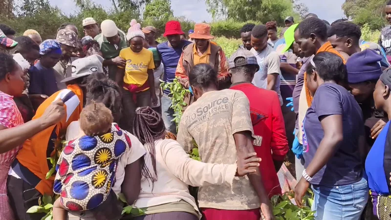 Man, lover found dead in muguka farm in Embu