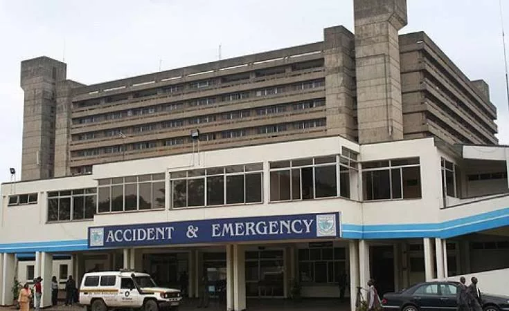 KNH explains cutting down of trees amid concerns over birds habitat