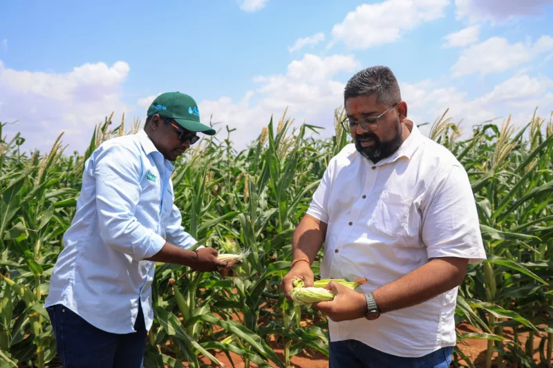 Sh6bn investment turns barren Galana-Kulalu into farming hub