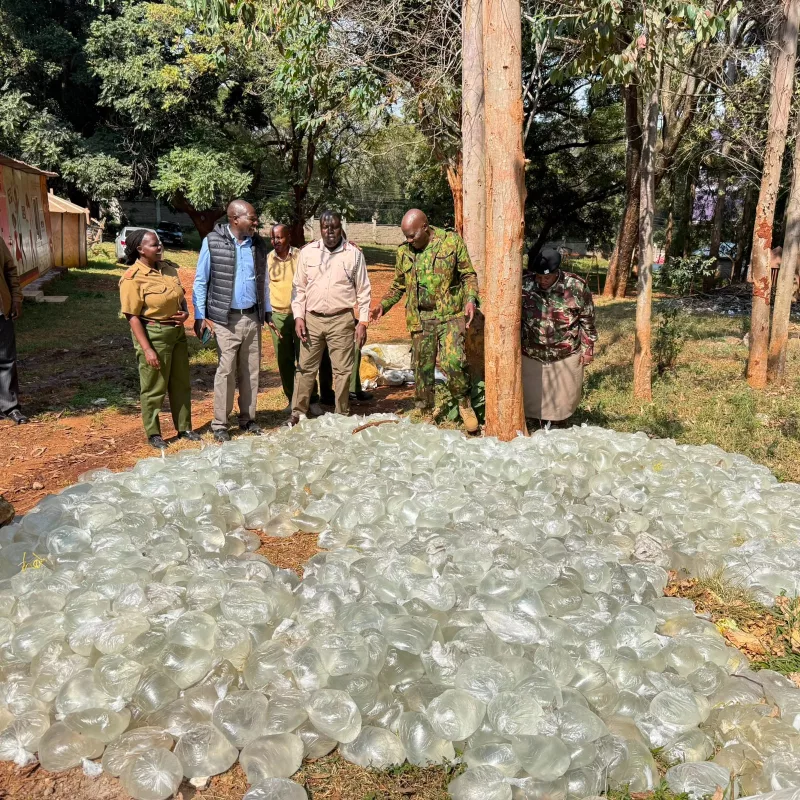 NACADA seizes over 27,000 litres of Illicit alcohol in Nairobi, Nyakach