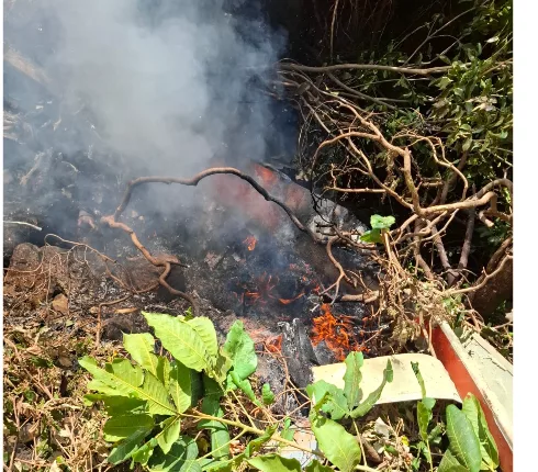 6 tourists, pilot killed in Samburu helicopter crash